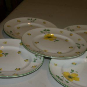 vintage fine bone china royal Victoria sandwich plates  .